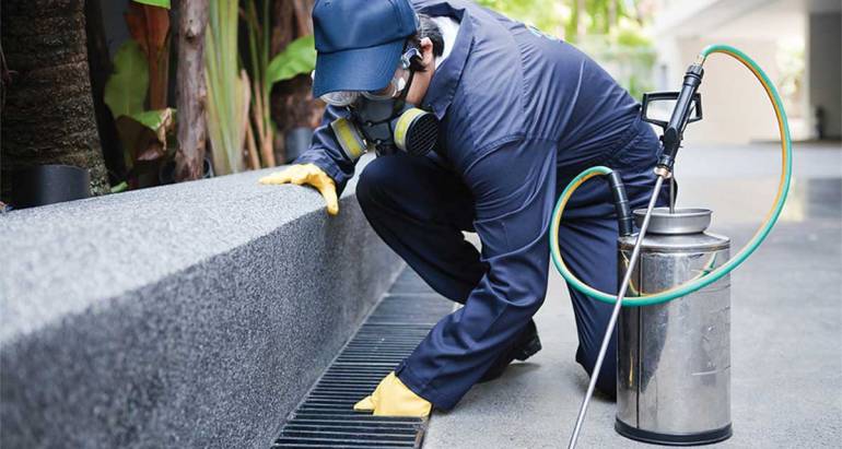 Experts in Pest Control